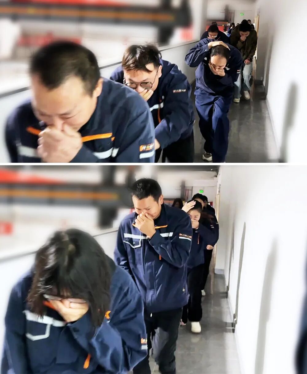 1763690709407691.jpg 3.jpg