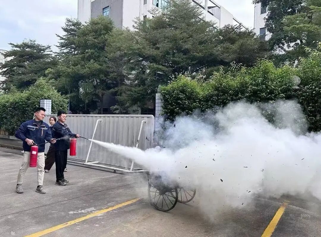 1763690743206496.jpg 5.jpg