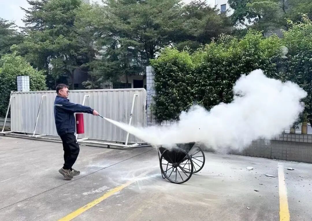 1763690748445343.jpg 6.jpg