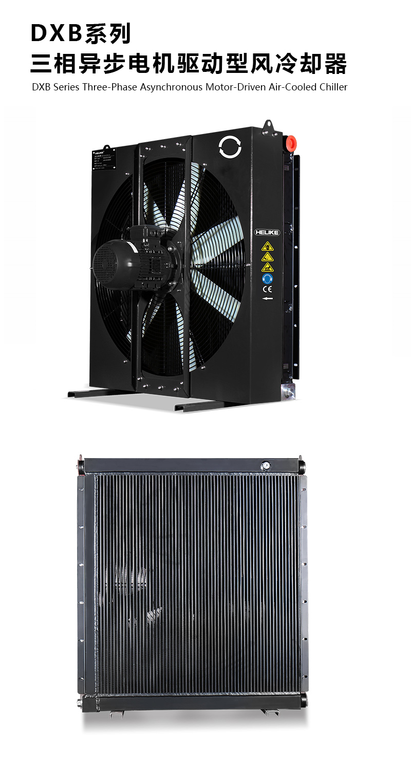 1770108402955556.jpg DXB.jpg