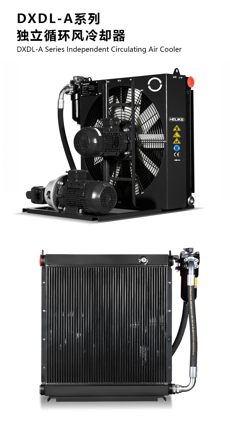 1770108988154972.jpg DXDLA.jpg