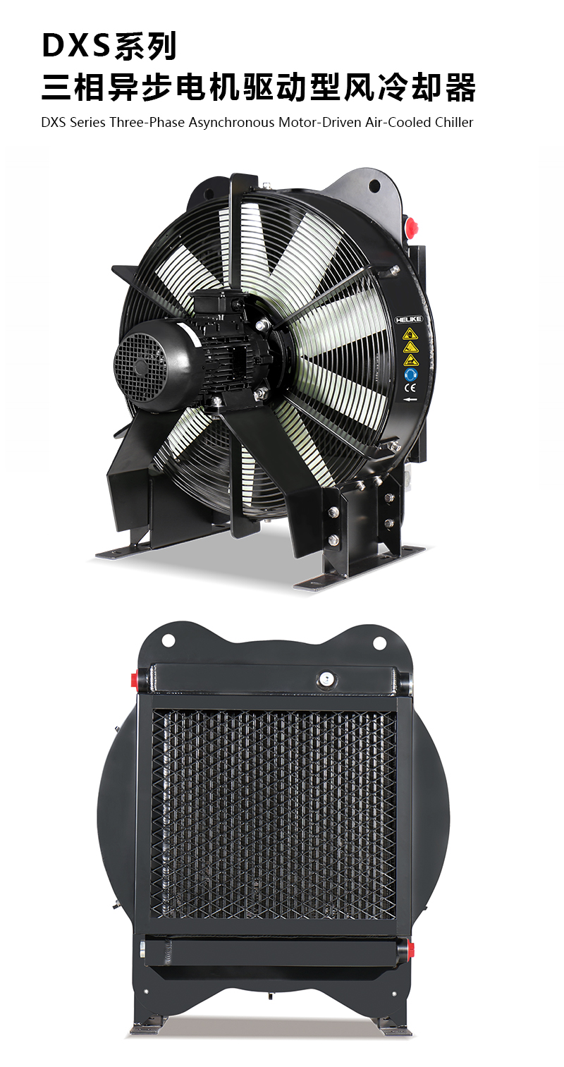 1770109499588085.jpg DXS.jpg